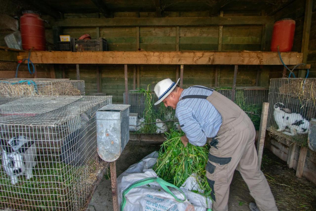 Loukas Farm House Áyios Kírikos Kültér fotó