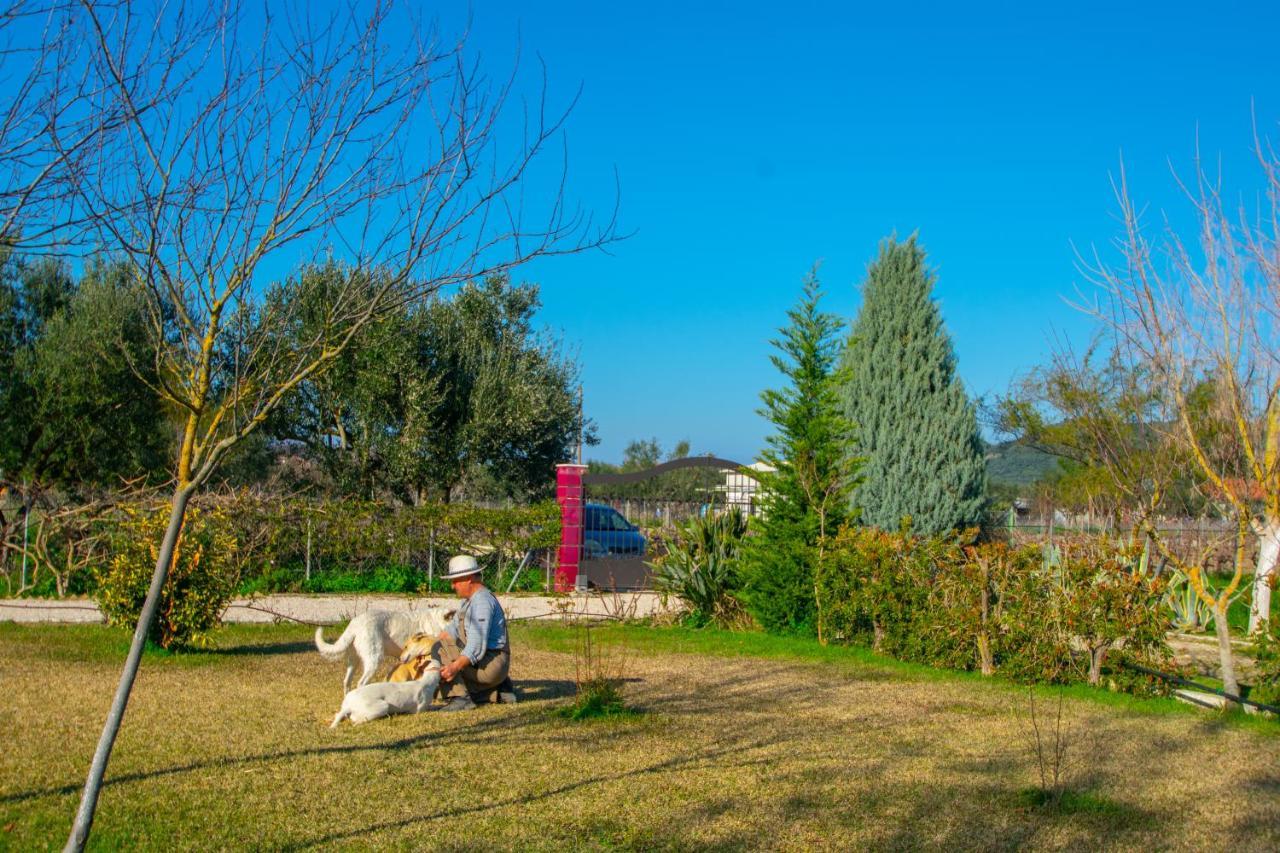 Loukas Farm House Áyios Kírikos Kültér fotó