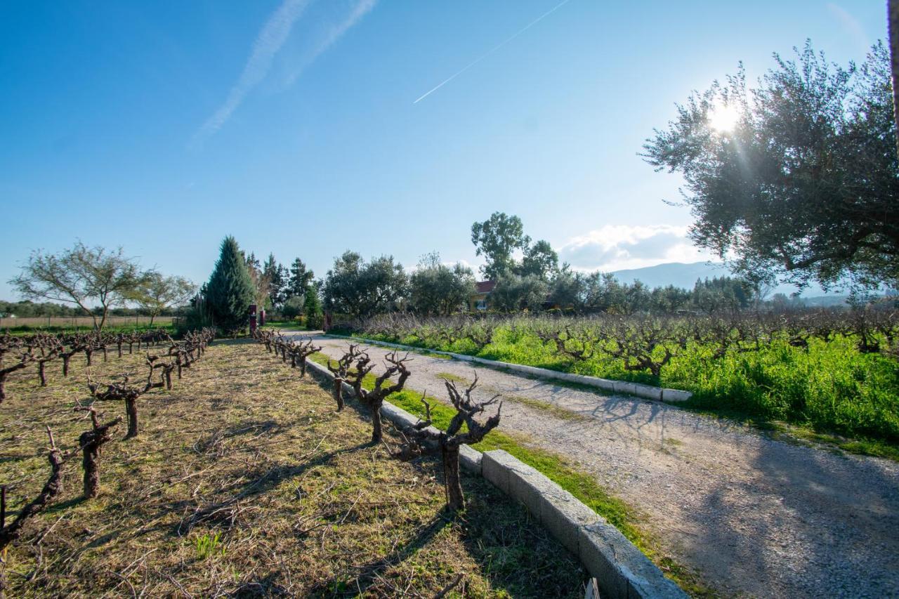 Loukas Farm House Áyios Kírikos Kültér fotó