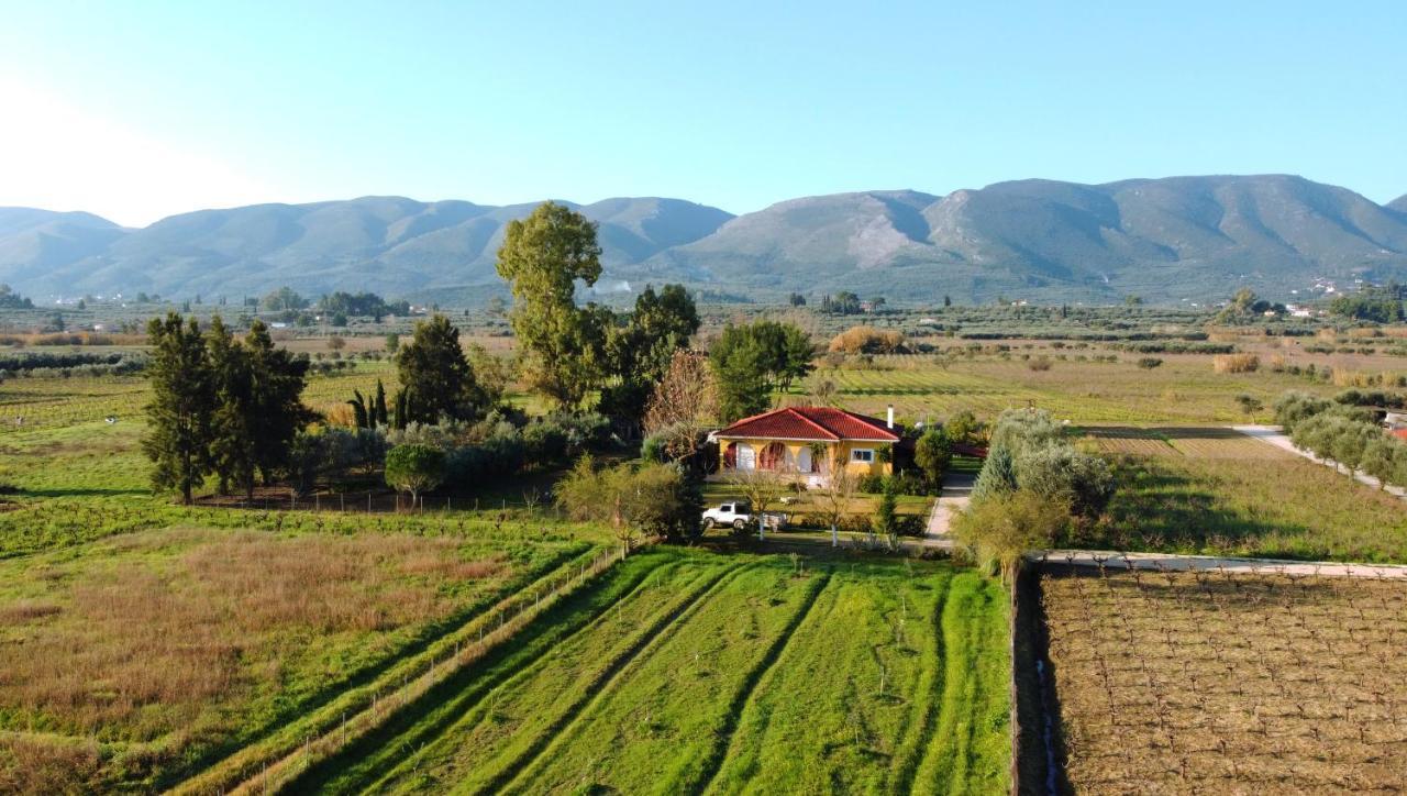 Loukas Farm House Áyios Kírikos Kültér fotó