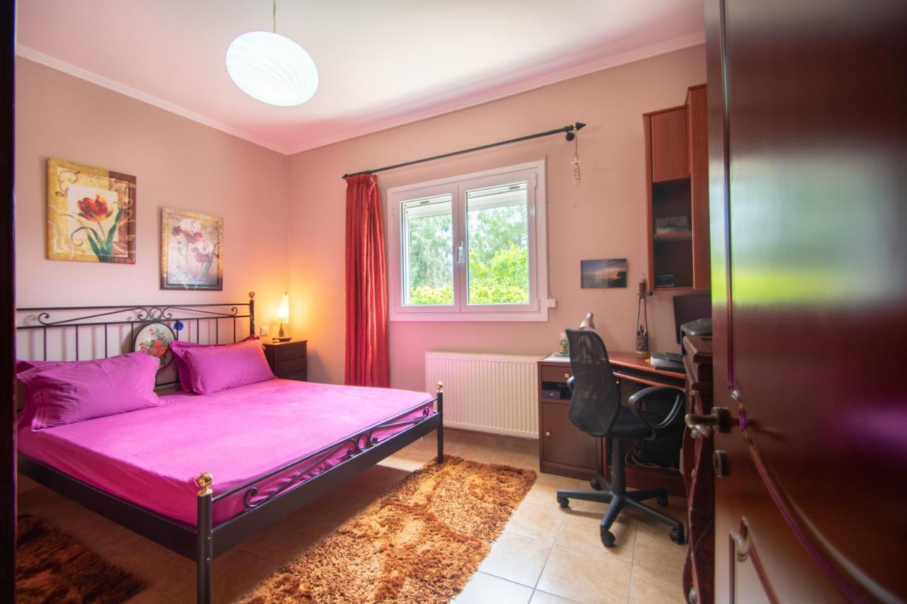 Loukas Farm House Áyios Kírikos Kültér fotó