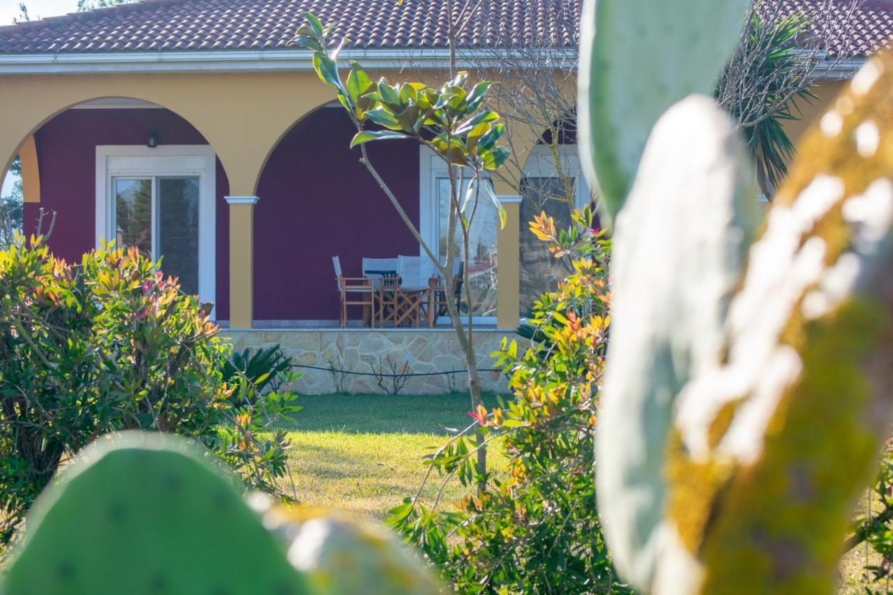 Loukas Farm House Áyios Kírikos Kültér fotó